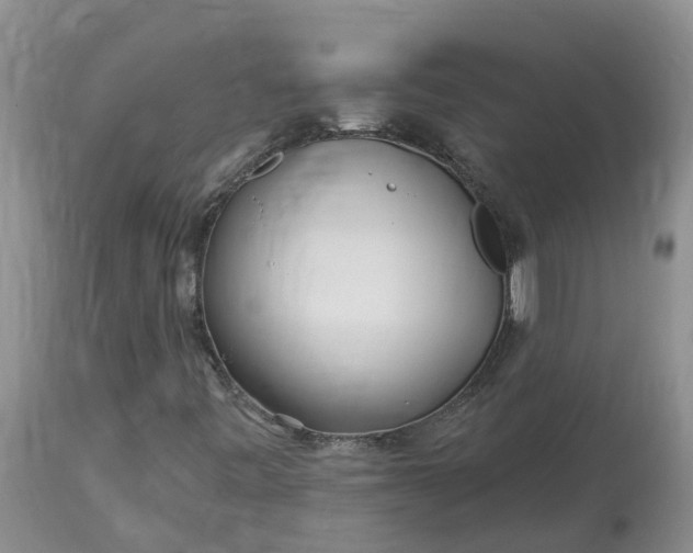 X0000113121443200909111127