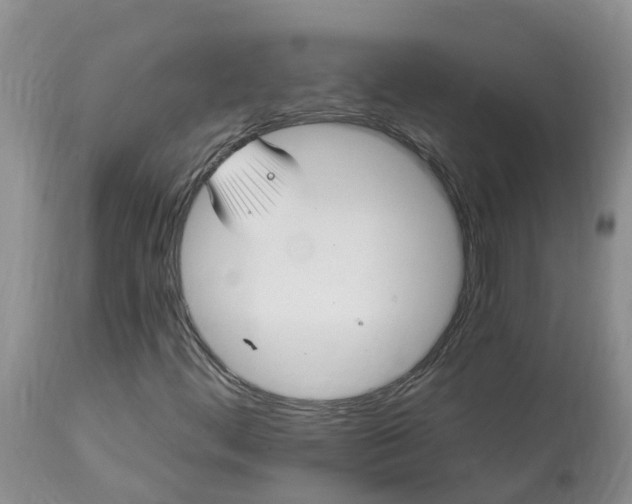 X0000113121444200909111127