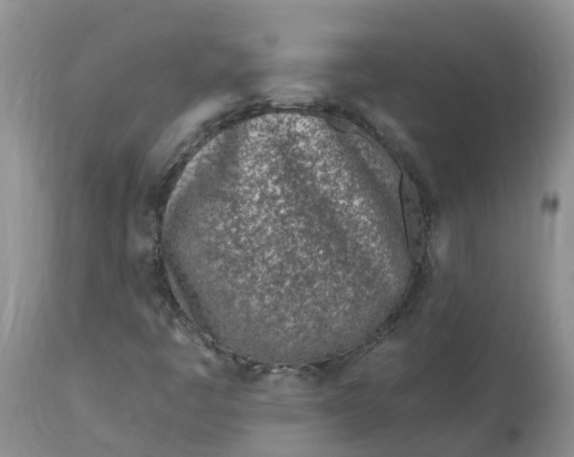 X0000113121445200909111127