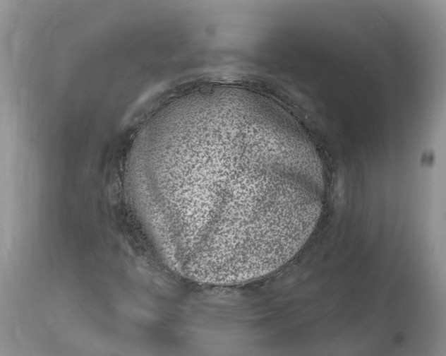 X0000113121446200909111127