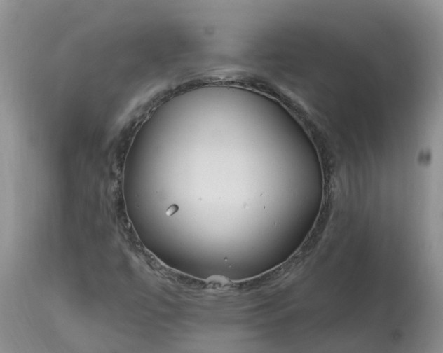 X0000113121447200909111127