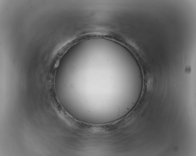 X0000113121448200909111127