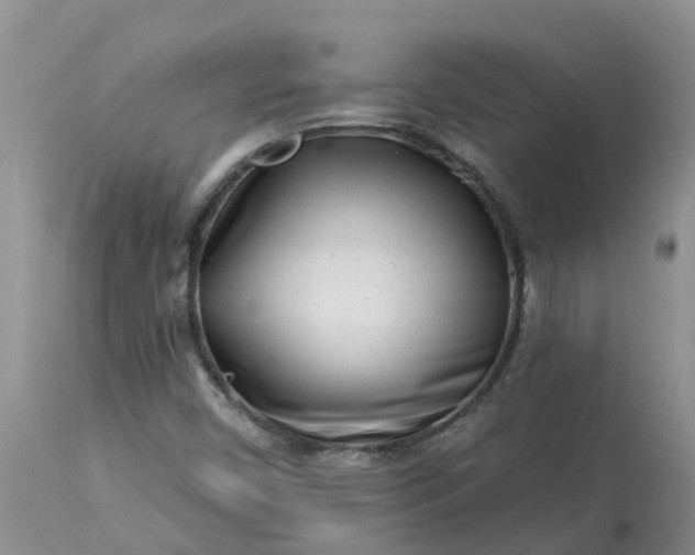 X0000113121450200909111127