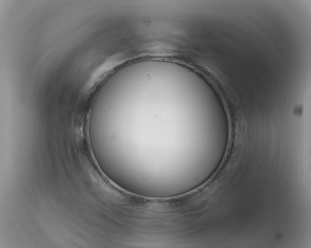 X0000113121451200909111127