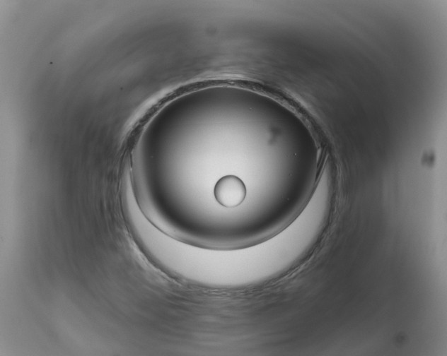 X0000113121452200909111127