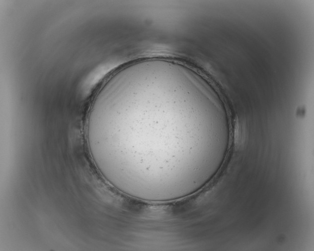 X0000113121453200909111127