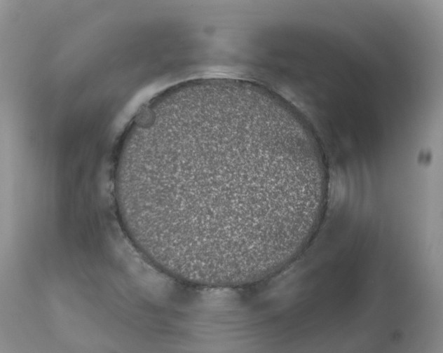 X0000113121454200909111127