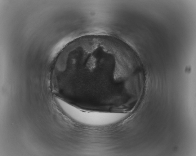 X0000113121455200909111127