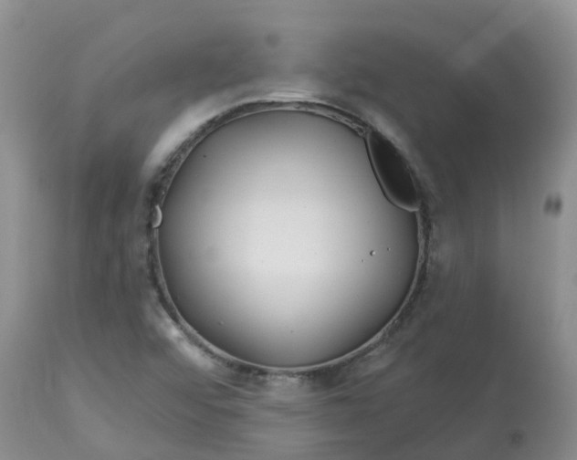 X0000113121456200909111127