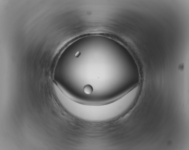 X0000113121457200909111127