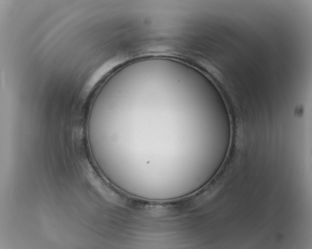 X0000113121458200909111127