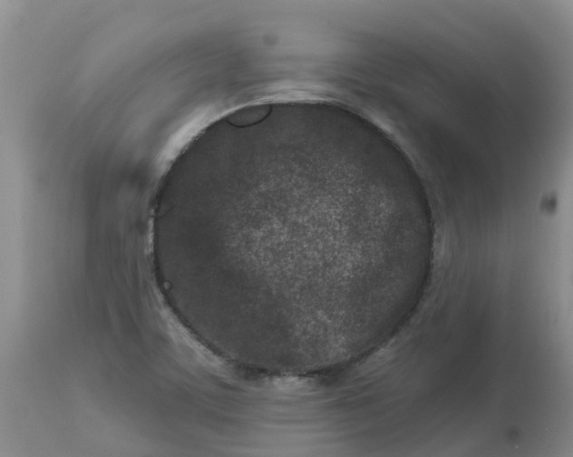 X0000113121459200909111127