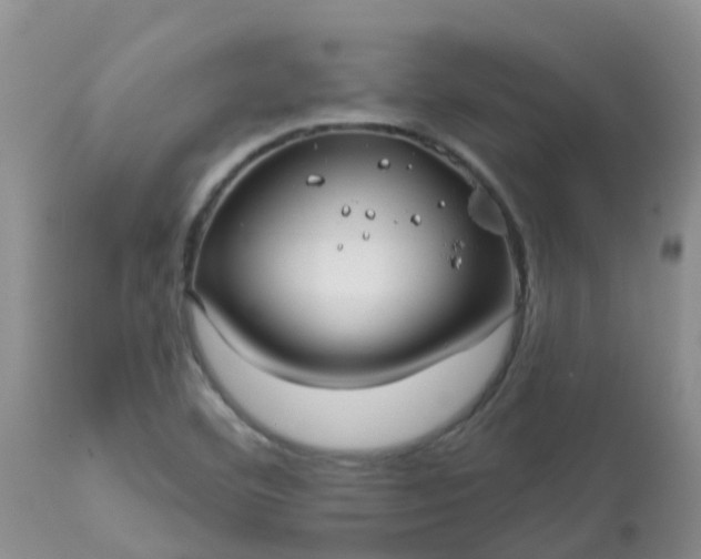 X0000113121460200909111127