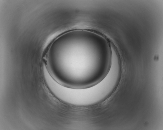 X0000113121461200909111127