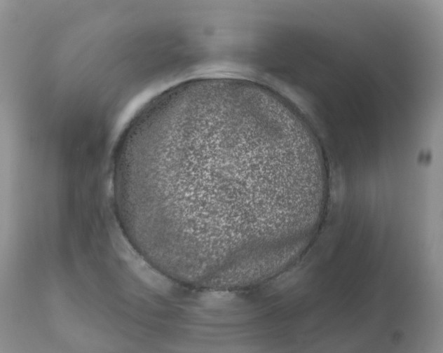 X0000113121462200909111127