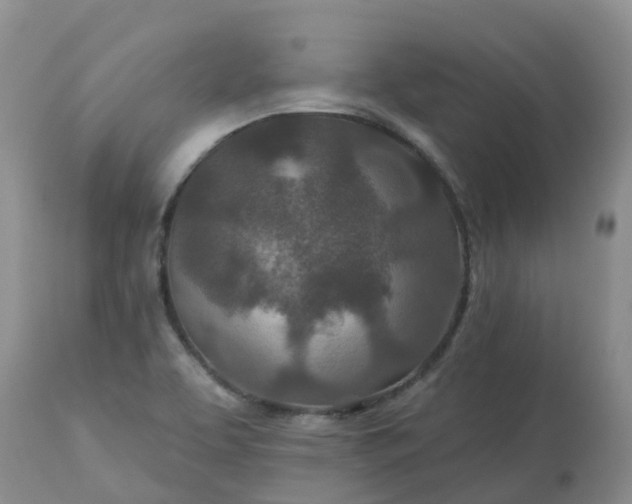 X0000113121463200909111127