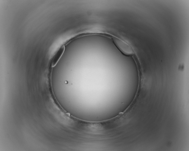 X0000113121464200909111127