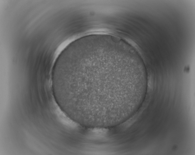 X0000113121466200909111127