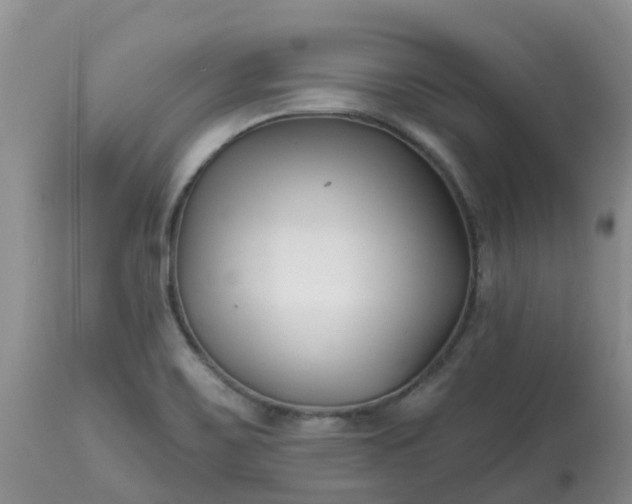 X0000113121467200909111127