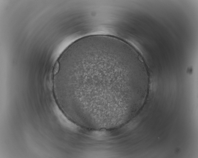 X0000113121468200909111127