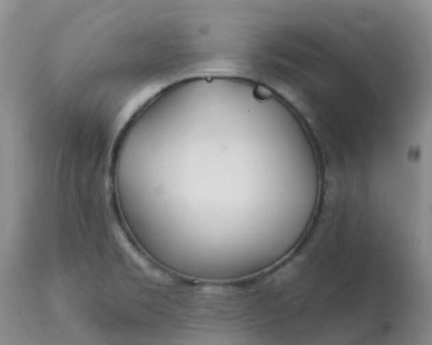 X0000113121469200909111127