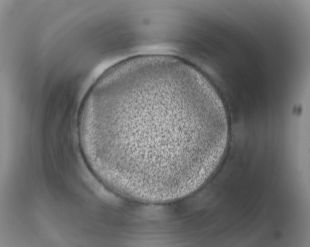 X0000113121470200909111127