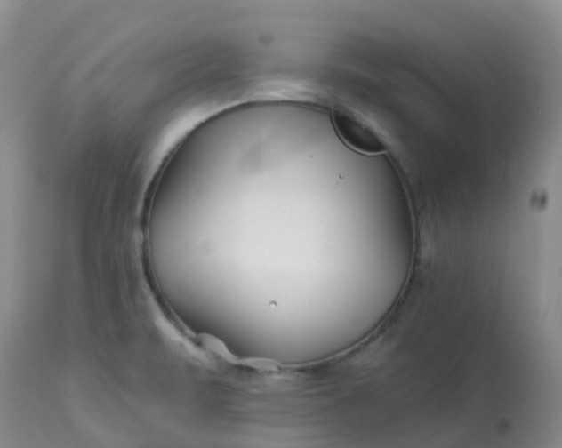 X0000113121471200909111127