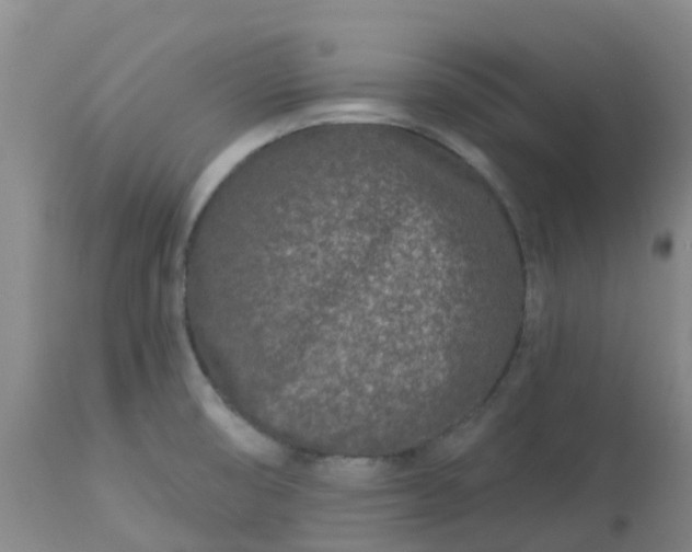 X0000113121474200909111127