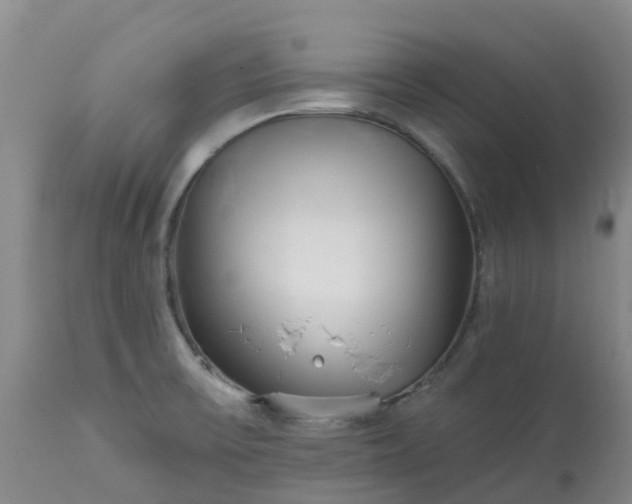 X0000113121475200909111127