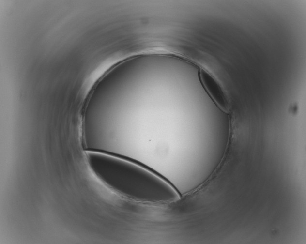 X0000113121476200909111127