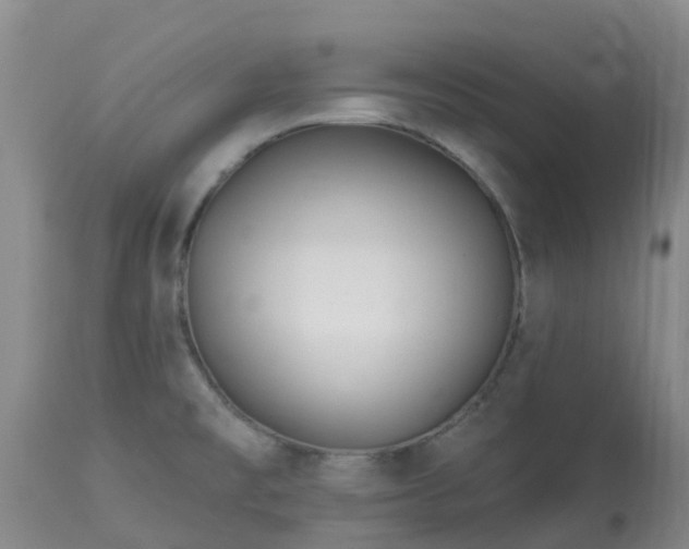 X0000113121477200909111127