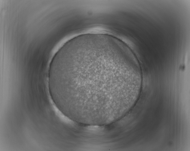 X0000113121478200909111127