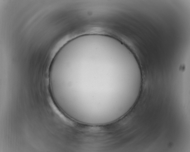 X0000113121479200909111127