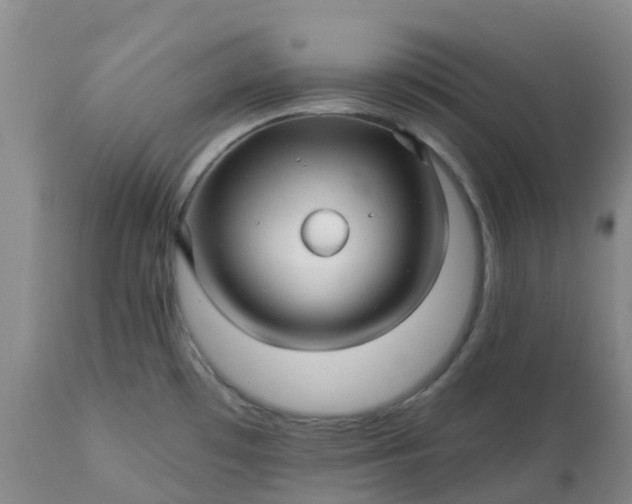 X0000113121481200909111127