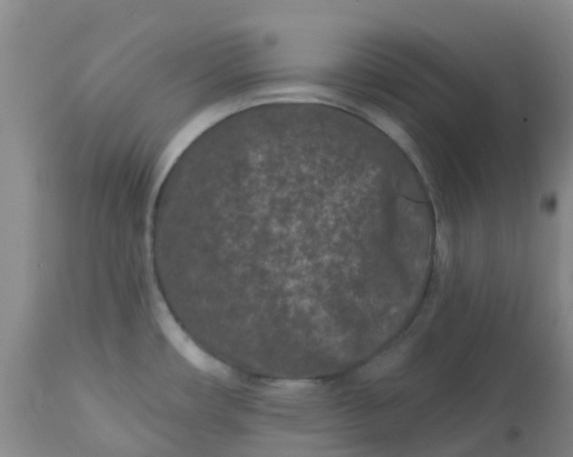 X0000113121482200909111127