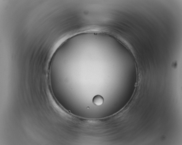 X0000113121483200909111127