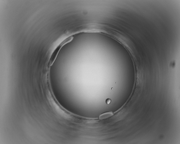 X0000113121484200909111127