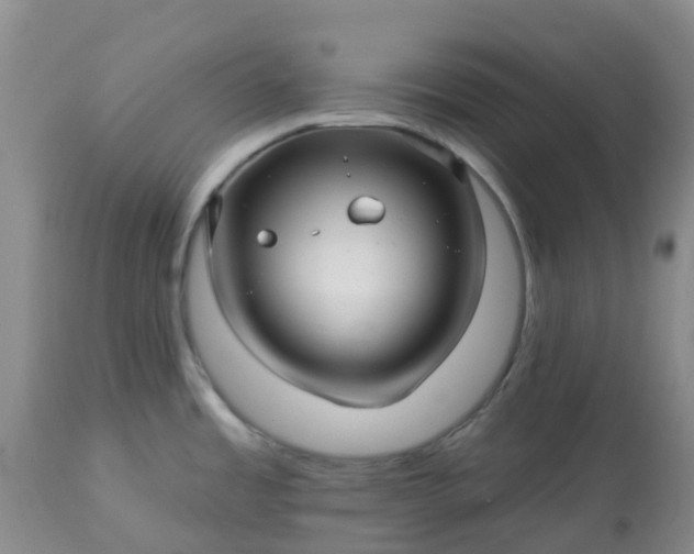 X0000113121485200909111127