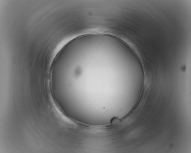 X0000113121486200909111127