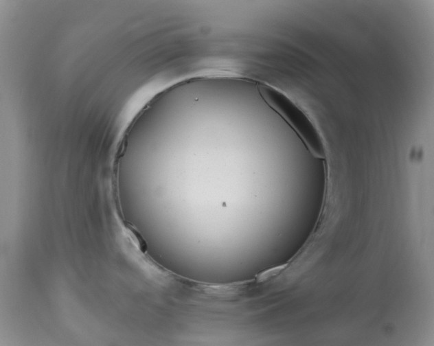 X0000113121488200909111127