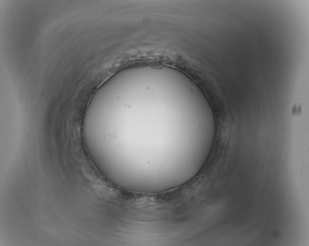 X0000113121489200909111126