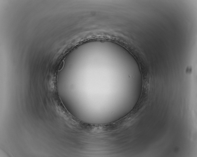 X0000113121490200909111126