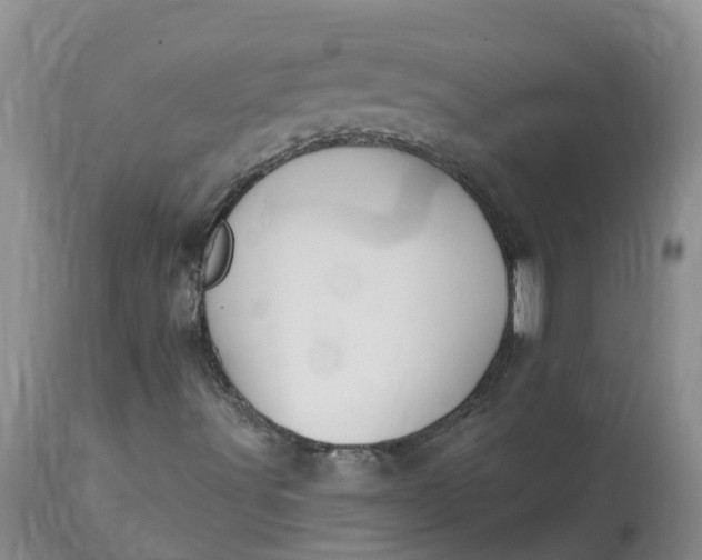 X0000113121491200909111126