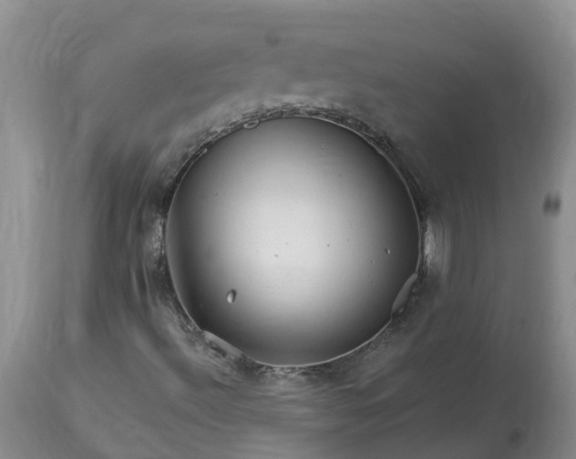 X0000113121492200909111126