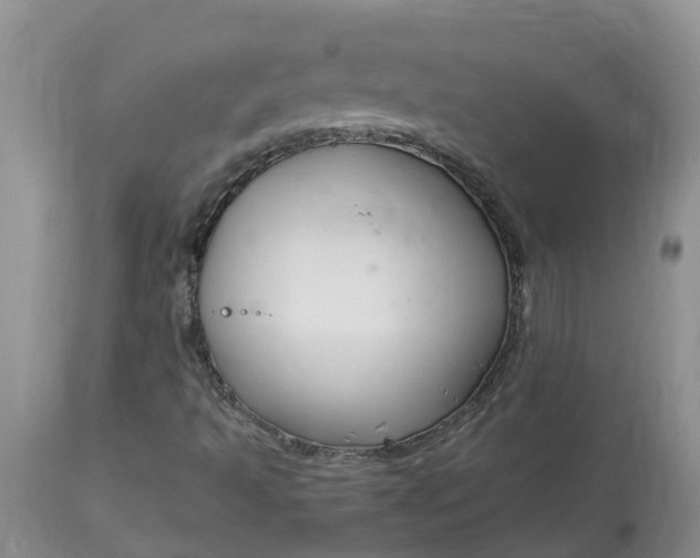 X0000113121493200909111126