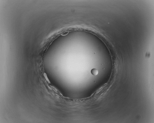 X0000113121494200909111126