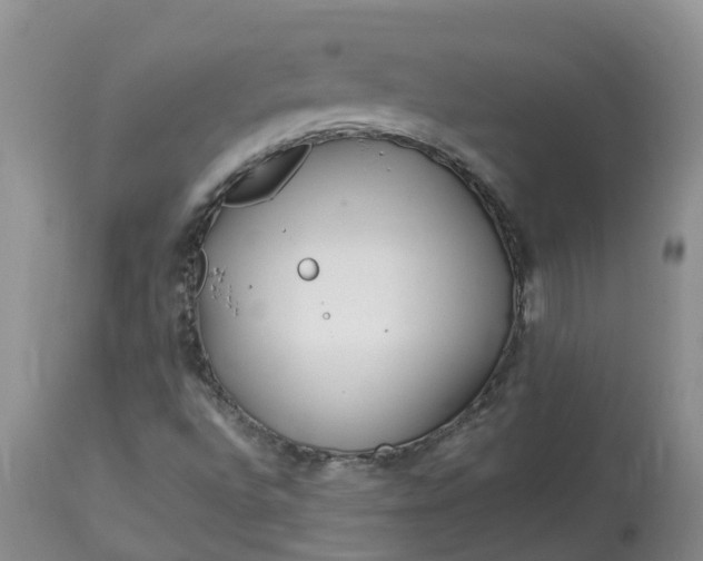 X0000113121496200909111126