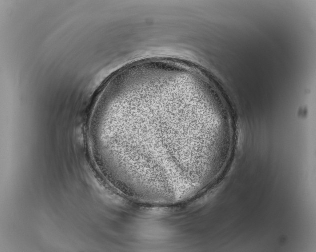 X0000113121497200909111126