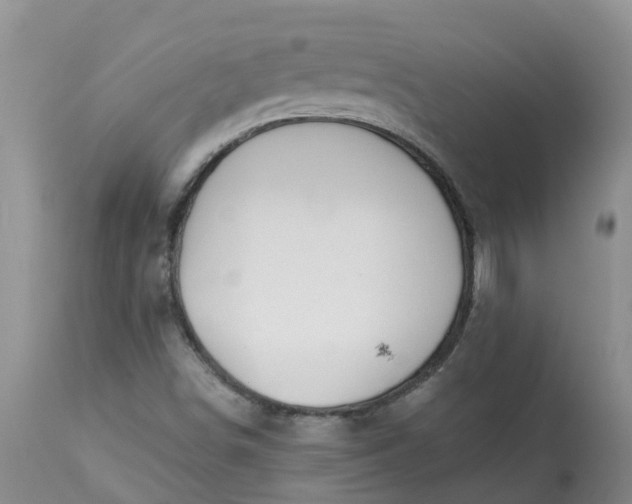 X0000113121498200909111126