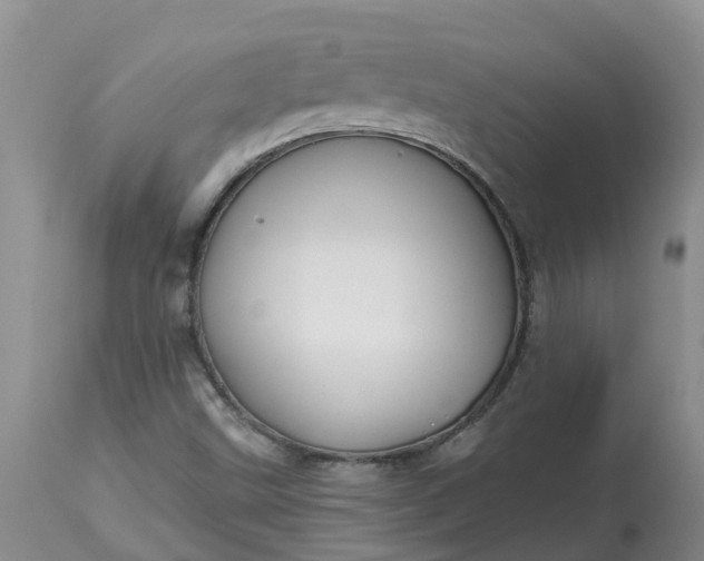 X0000113121499200909111126